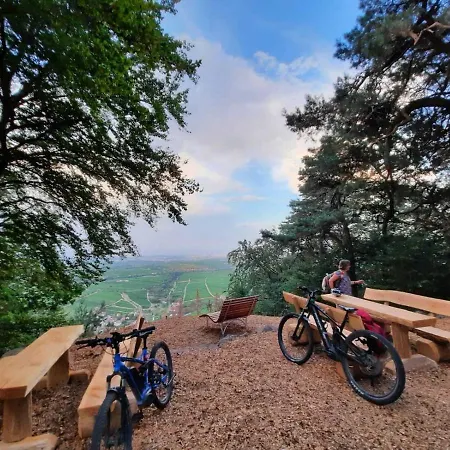 Vakantiehuis Ferienweingut Peter Stuebinger