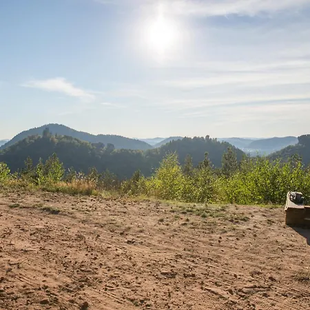 Ferienweingut Peter Stuebinger * Leinsweiler