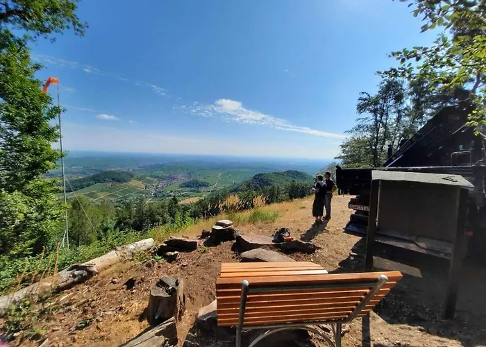 Ferienweingut Peter Stuebinger * Leinsweiler