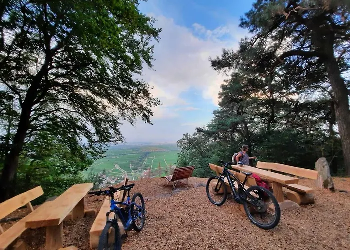 Semesterbostad Ferienweingut Peter Stuebinger