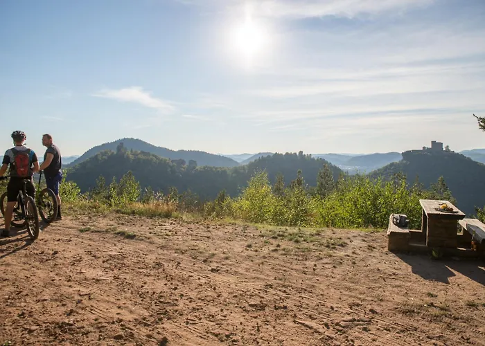 Ferienweingut Peter Stuebinger * Leinsweiler