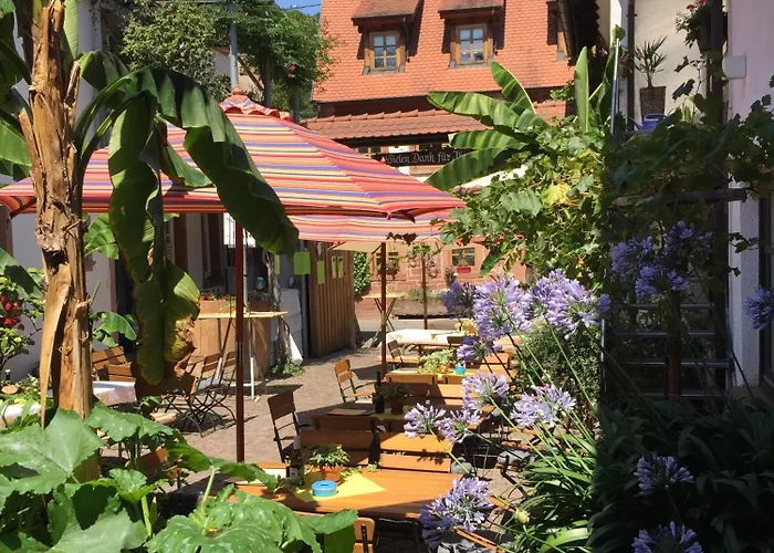 Ferienweingut Peter Stuebinger Semesterbostad *